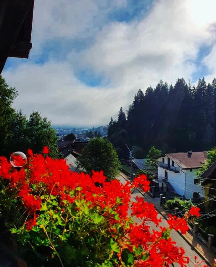 Hotel Vila Simina Vatra Dornei Exteriér fotografie